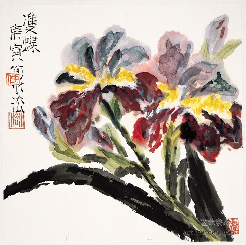 双蝶 2010